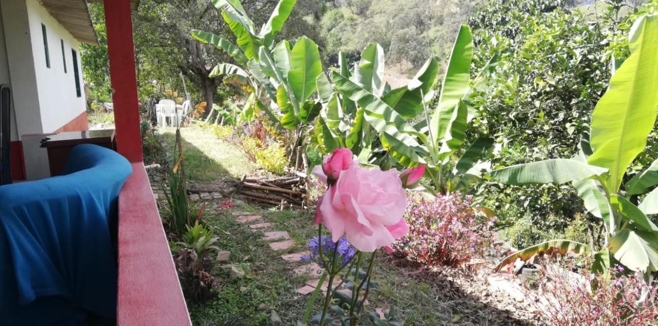 Finca Umnisa - Choachí Kültér fotó