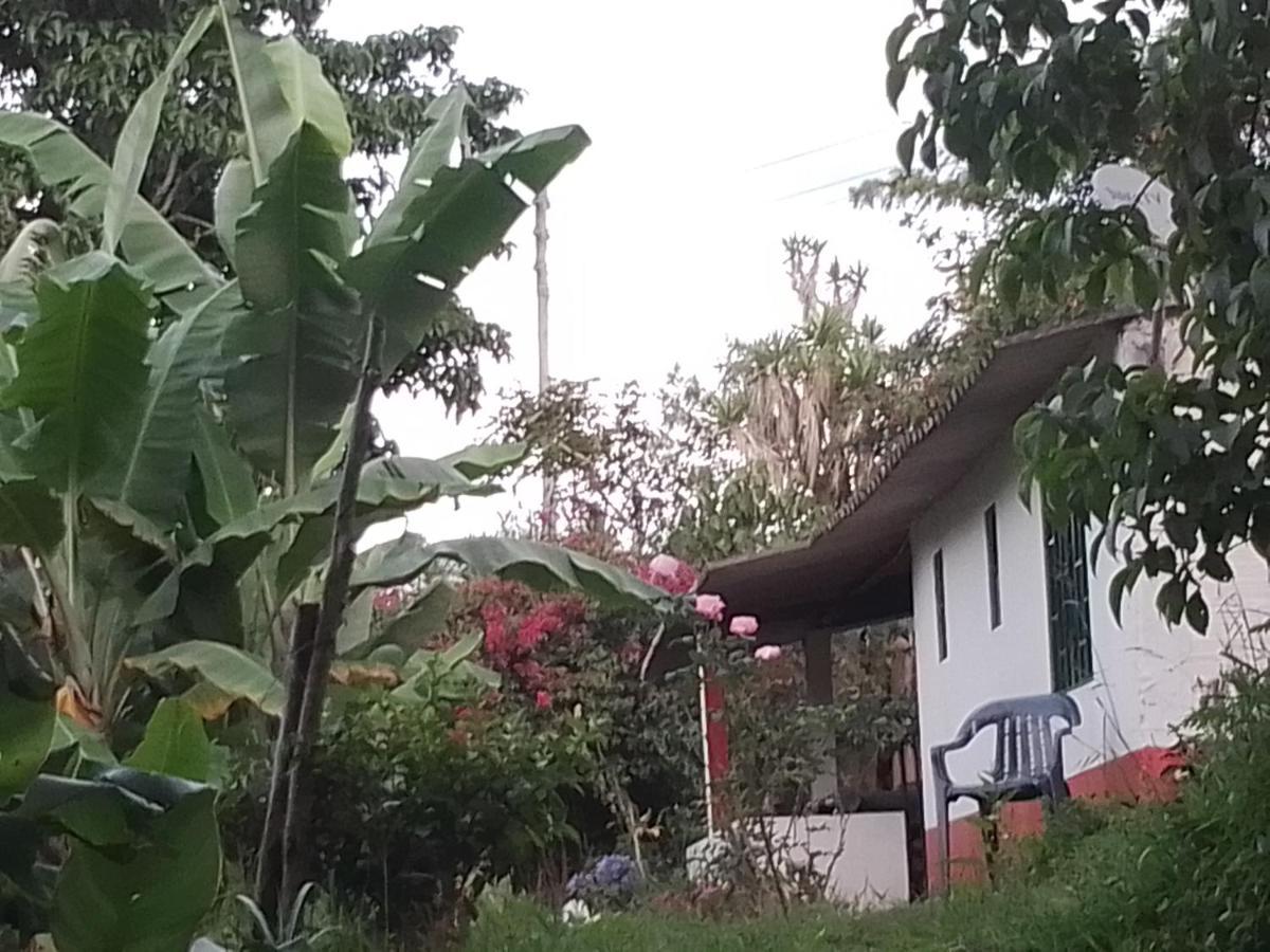 Finca Umnisa - Choachí Kültér fotó