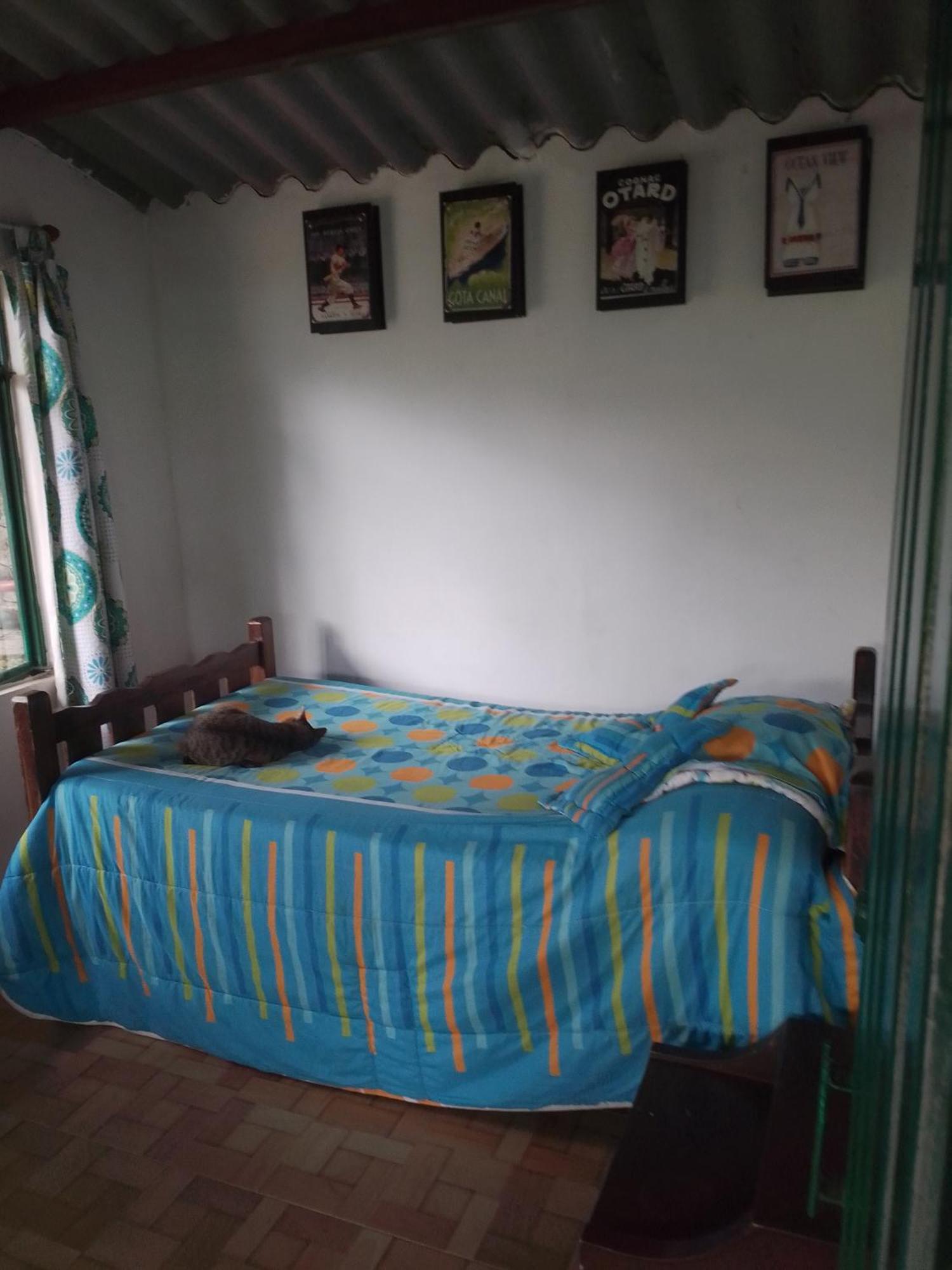Finca Umnisa - Choachí Kültér fotó